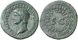 (80-81 d.C.). Germánico. As. (Spink 2599 var) (Co. 14 var) (RIC. 417, de Tito). 9,74 g. Restitución de Tito. Pátina verde. Rara. MBC.