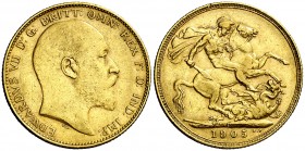1905. Australia. Eduardo VII. P (Perth). 1 libra. (Fr. 34) (Kr. 15). 7,97 g. AU. Golpecitos. MBC/MBC+.