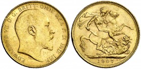 1907. Australia. Eduardo VII. P (Perth). 1 libra. (Fr. 34) (Kr. 15). 8 g. AU. Golpecitos. MBC+.