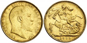 1908. Australia. Eduardo VII. P (Perth). 1 libra. (Fr. 34) (Kr. 15). 7,95 g. AU. MBC.