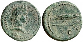 (85 d.C.). Domiciano. Semis. (Spink 2822 var) (Co. 526) (RIC. 314). 3,88 g. Pátina verde. Escasa. MBC+.