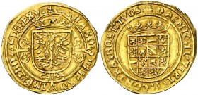 s/d. Carlos I. Amberes. 1/2 real de oro. (Vti. 606) (Vanhoudt 221.AN). 3,50 g. MBC+.