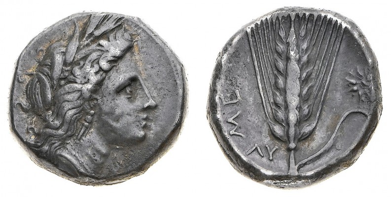 Monete della Magna Grecia
Lucania
Metaponto - Statere databile al periodo 330-...