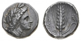 Monete della Magna Grecia
Lucania
Metaponto - Statere databile al periodo 330-290 a.C. - Diritto: testa di Demetra coronata di spighe a destra - Rov...
