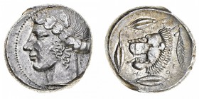 Monete della Magna Grecia
Sicilia
Leontini - Tetradramma databile al periodo 435-425 a.C. - Diritto: testa laureata di Apollo a sinistra - Rovescio:...