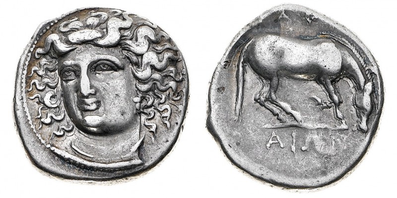 Monete Greche
Tessaglia
Larissa - Dracma databile al periodo 400-344 a.C. - Di...
