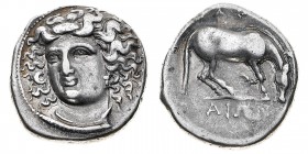 Monete Greche
Tessaglia
Larissa - Dracma databile al periodo 400-344 a.C. - Diritto: testa della ninfa Larissa di tre quarti a sinistra - Rovescio: ...