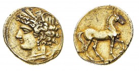 Monete Greche

Cartagine - 3/8 di Shekel databile al periodo 220-205 a.C. - Diritto: testa laureata di Tanit a sinistra - Rovescio: cavallo al passo...
