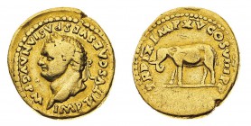 Monete Romane Imperiali
Tito (79-81 d.C.)
Aureo databile all'80 d.C. - Zecca: Roma - Diritto: testa laureata dell'imperatore a sinistra - Rovescio: ...
