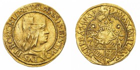 Monete di Zecche Italiane
Antegnate
Giovanni II Bentivoglio (1494-1506) - Doppio Ducato - Diritto: busto di Giovanni II a destra - Rovescio: stemma ...