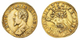 Monete di Zecche Italiane
Ducato di Parma e Piacenza
Ranuccio I Farnese (1592-1622) - 2 Doppie 1607 - Zecca: Piacenza - Diritto: busto corazzato del...