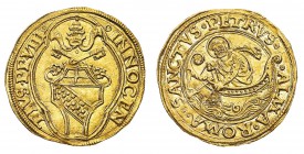 Monete di Zecche Italiane
Stati Pontifici
Innocenzo VIII (1484-1492) - Ducato o Fiorino di Camera - Zecca: Roma - Diritto: stemma sormontato dalle c...