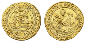 Monete di Zecche Italiane
Stati Pontifici
Alessandro VI (1492-1503) - Doppio Fiorino di Camera - Zecca: Ancona - Diritto: stemma sormontato dalle ch...