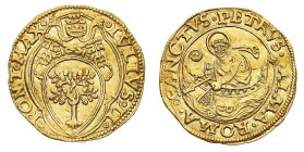 Monete di Zecche Italiane
Stati Pontifici
Giulio II (1503-1513) - Ducato o Fiorino di Camera - Zecca: Roma - Diritto: stemma sormontato dalle chiavi...