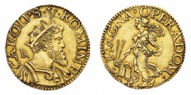Monete di Zecche Italiane
Regno di Napoli
Carlo V Imperatore (1516-1556) - Doppia - Diritto: busto drappeggiato e corazzato di Carlo V, con barba fo...