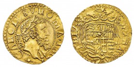 Monete di Zecche Italiane
Regno di Napoli
Carlo V Imperatore (1516-1556) - Ducato d'oro - Zecca: Napoli - Diritto: testa laureata di Carlo V a destr...