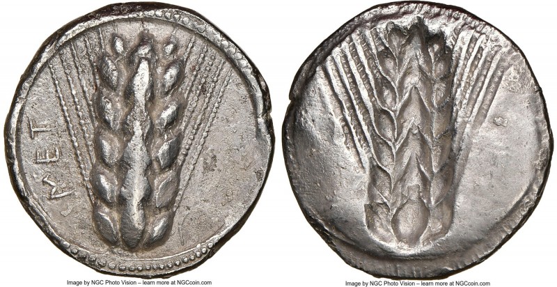 LUCANIA. Metapontum. Ca. 510-470 BC. AR stater (22mm, 11h). NGC Choice VF, edge ...