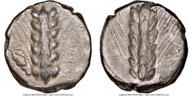 LUCANIA. Metapontum. Ca. 470-440 BC. AR stater (17mm, 7.47 gm, 12h). NGC Choice VF 4/5 - 3/5. META (retrograde), barley ear with six grains; murex she...