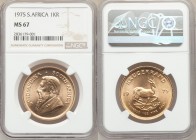 Republic gold Krugerrand 1975 MS67 NGC, KM73. AGW 1.0003 oz. 

HID09801242017

© 2020 Heritage Auctions | All Rights Reserved