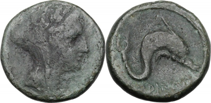 Greek Italy. Eastern Italy, Larinum. AE Biunx, c. 210-175 BC. Veiled and wreathe...