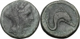 Greek Italy. Eastern Italy, Larinum. AE Biunx, c. 210-175 BC. Veiled and wreathed female head right. / Dolphin right; below, LADINOD / [two pellets]. ...