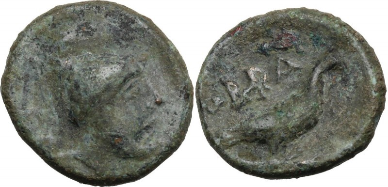 Greek Italy. Southern Apulia, Orra. AE 16 mm. c. 250-225 BC. Young male head rig...