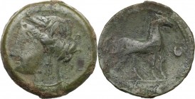 Punic Sardinia. Uncertain mint. AE 23 mm, 264-221 BC. Head of Kore left. / Horse standing right; before, letter AYN. Piras 143 var. (letter on reverse...
