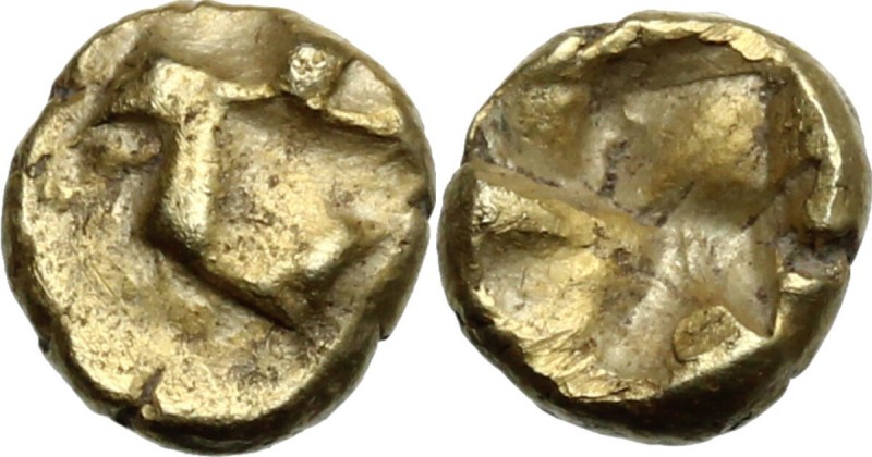 Greek Asia. Ionia, uncertain mint. AV 1/96 stater, circa 7th cent. BC. Raised mi...