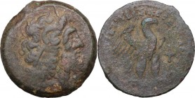 Africa. Egypt, Ptolemaic Kingdom. Ptolemy VIII Euregetes II, 2nd reign (145-116 BC). AE Oktobol. Kyrene mint. Head of Zeus-Ammon right, wearing tainia...