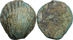 Aes Premonetale. AE solid cast Cockle-shell, Central Italy, 5th-4th century BC. Cf. G. Fallani, Numismatics witness, to history, IAPN Publication 8, 1...