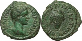 Caracalla (198-217). AE 17 mm. Nicopolis ad Istrum, Moesia Inferior. MAP AV KAI ANTΩNINO. Bare head right. / NIKOΠOΛΙT ΠΡOC ICTPON. Bunch of grape. Va...