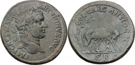 Caracalla (198-217). AE 33 mm. Antioch mint, Pisidia. IMP CAES M AVR ANTONINVS AVG. Laureate head right. / COL CAES ANTIOCH. Lupa Romana standing righ...