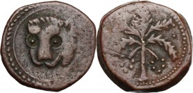 Messina. Guglielmo II (1166-1189). Trifollaro (?). Sp. 117; Travaini 1995, 370; D'Andrea-Contreras (Normans) 372. AE. 10.55 g. 26.00 mm. R. BB+.