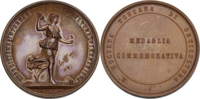 Medaglia 1874 per l'Esposizione Internazionale di orticultura in Firenze. AE. 38...