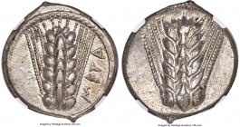 LUCANIA. Metapontum. Ca. 510-470 BC. AR stater (23mm, 7.86 gm, 12h). NGC AU 5/5 - 3/5. META, barley ear with seven grains; dotted border on raised rim...