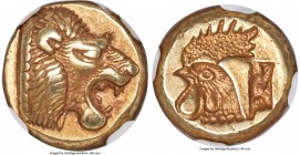 LESBOS. Mytilene. Ca. 521-478 BC. EL sixth-stater or hecte (10mm, 2.54 gm, 10h). NGC Choice XF S 5/5 - 4/5. Head of roaring lion right with pelleted t...