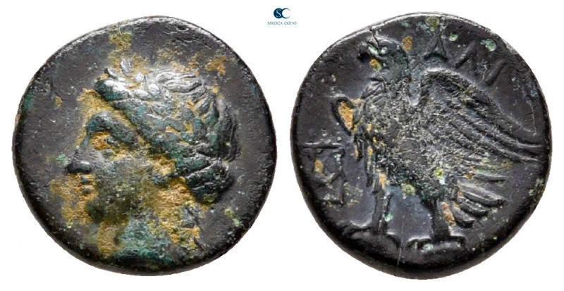 Caria. Halikarnassos circa 350-300 BC. 
Bronze Æ

10 mm, 1,29 g

Laureate h...