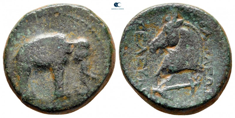 Seleukid Kingdom. Apameia on the Orontes. Seleukos I Nikator 312-281 BC. 
Bronz...