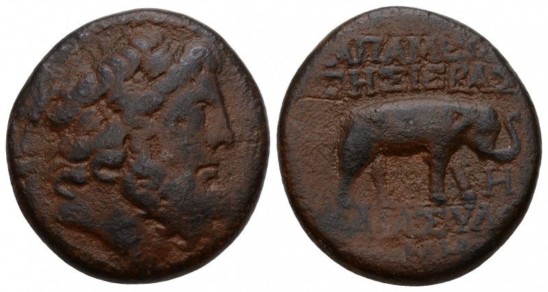 The East - Syria - Seleucus and Pieria / Apameia - AE23 (1st century BC, Laureat...
