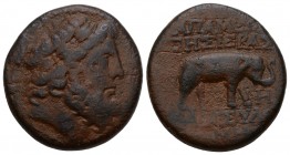 The East - Syria - Seleucus and Pieria / Apameia - AE23 (1st century BC, Laureate head of Zeus right / Elephant standing right (cf. SNG München 793) -...