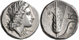 LUCANIA. Metapontion. Circa 330-290 BC. Didrachm or Nomos (Silver, 21 mm, 7.89 g, 10 h). Head of Demeter to right, wearing wreath of grain ears, tripl...