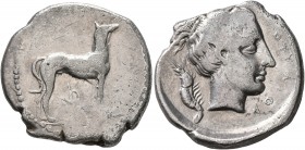 SICILY. Motya. Circa 415/10-405 BC. Didrachm (Silver, 22 mm, 8.05 g, 7 h). The river-god Krimisos, in the form of a hunting dog, standing right; below...