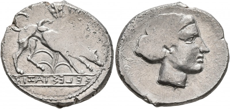 SICILY. Segesta. Circa 412/0-400 BC. Didrachm (Silver, 23 mm, 8.45 g, 12 h). ΣEL...