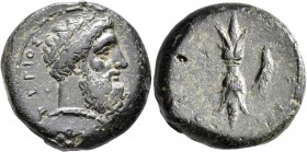 SICILY. Syracuse. Timoleon and the Third Democracy, 344-317 BC. Hemidrachm (Bronze, 23 mm, 13.12 g, 10 h), circa 344-339/8. ZEYΣ EΛEYΘEPIOΣ Laureate h...