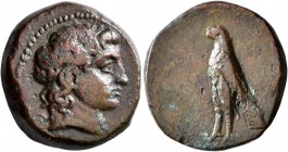 TROAS. Abydos (?). 4th-3rd century BC. AE (Bronze, 21 mm, 7.39 g, 12 h). Laureate head of Apollo to right. Rev. Eagle standing left, wings closed. SNG...