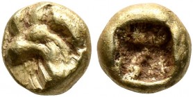 IONIA. Uncertain. Circa 600-550 BC. 1/48 Stater (Electrum, 5 mm, 0.33 g), Lydo-Milesian standard. Head of a roaring lion (?) to left. Rev. Incuse squa...