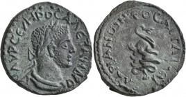 CILICIA. Aegeae. Severus Alexander, 222-235. Diassarion (Bronze, 24 mm, 12.76 g, 1 h), CY 275 = 228/9. M AYP CЄYHPOC AΛЄΞANΔPOC Laureate and draped bu...