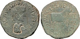 Celtiberian Coins
As. 14-36 d.C. ÉPOCA DE TIBERIO. CALAGURRIS (CALAHORRA, La Rioja). Anv.: TI. CAESAR. DIVI. AVG. F. AVGVSTVS. Cabeza de Tiberio laure...