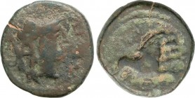 Celtiberian Coins
Cuadrante. 130-90 a.C. UNTIKESKEN (SANT MARTÍ D´EMPÚRIES, Girona). Anv.: Cabeza de Palas a derecha. Rev.: León saltando a derecha de...