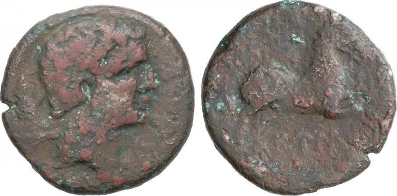 Celtiberian Coins
Semis. 120-20 a.C. EUSTI (Zona de CATALUNYA). Anv.: Cabeza mas...